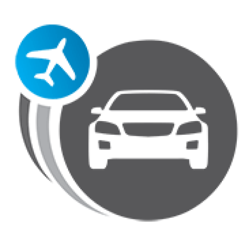 Logo alytus transfer